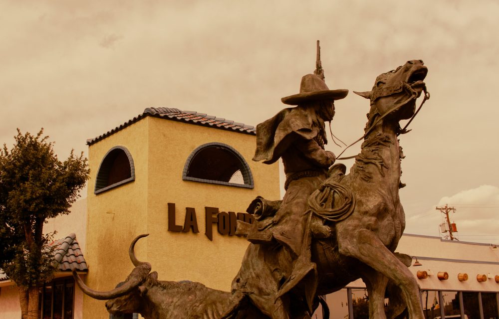 TheVaquero